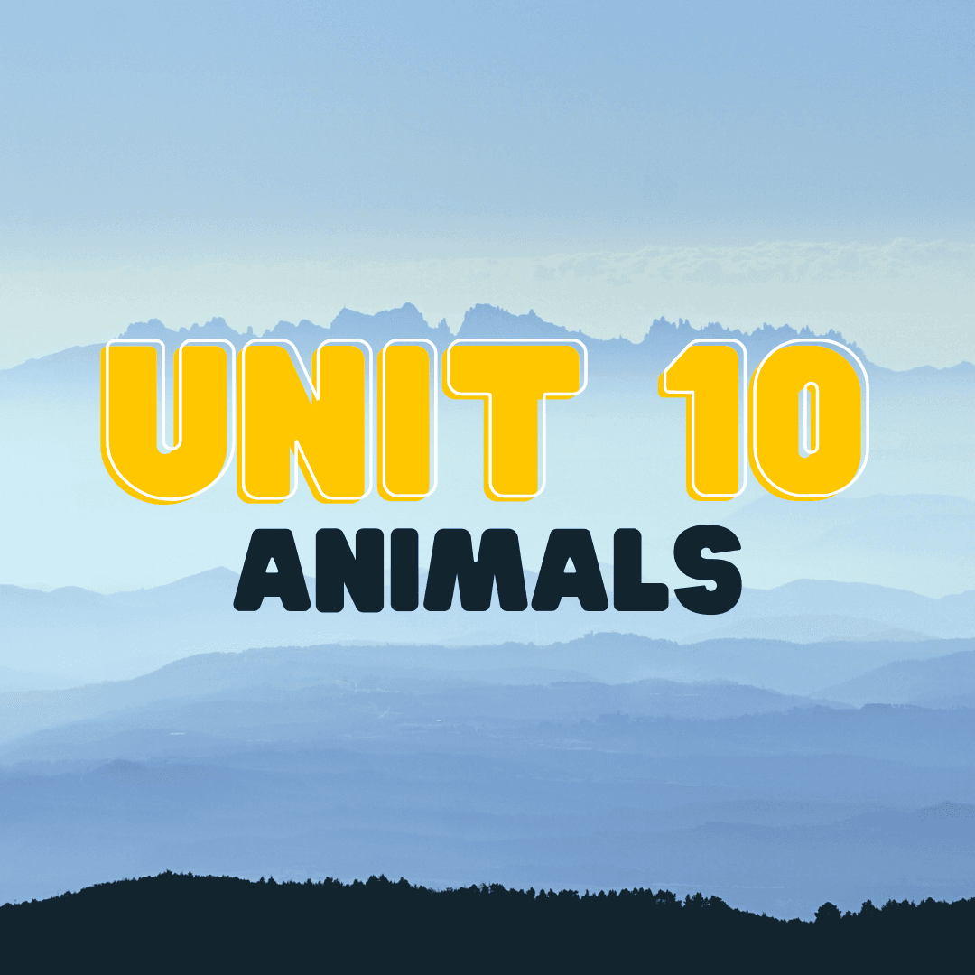 Animals