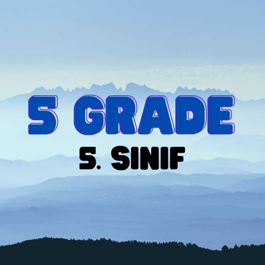 5. Sınıf