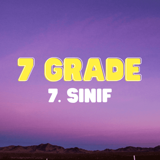 7. Sınıf